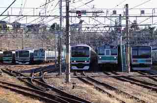 IMG_3558s.jpg